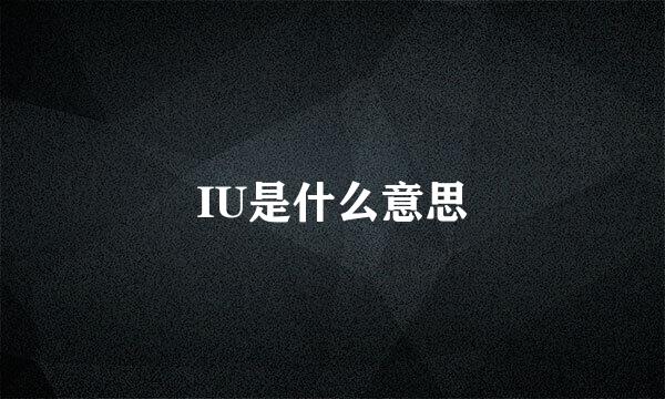 IU是什么意思