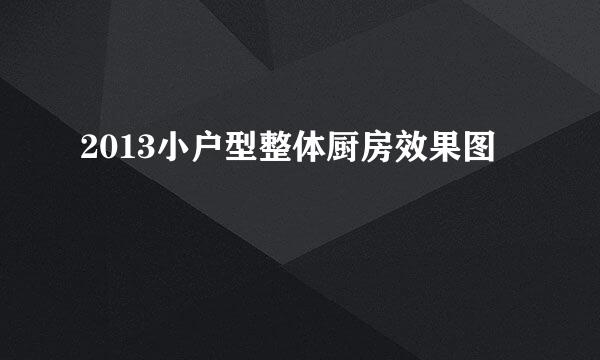 2013小户型整体厨房效果图