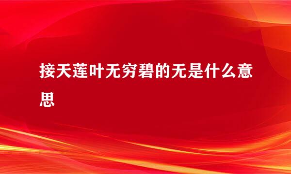 接天莲叶无穷碧的无是什么意思