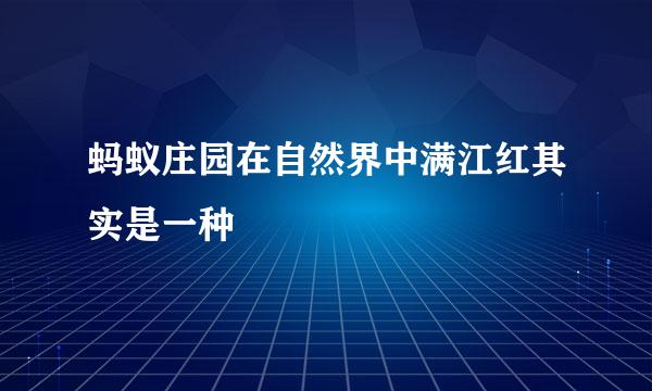 蚂蚁庄园在自然界中满江红其实是一种