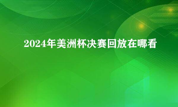 2024年美洲杯决赛回放在哪看