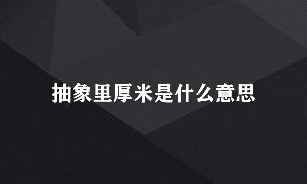 抽象里厚米是什么意思