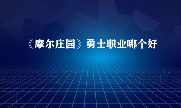 《摩尔庄园》勇士职业哪个好