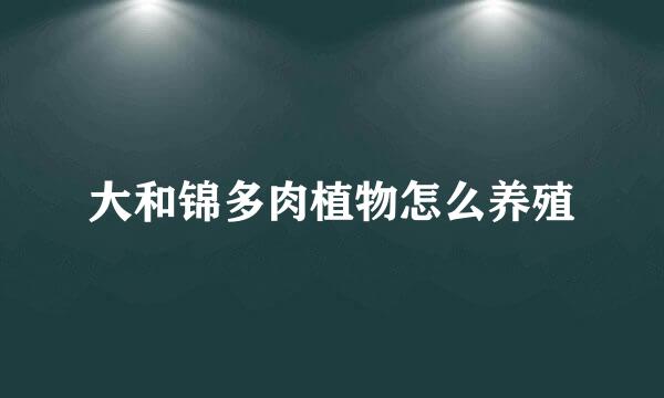大和锦多肉植物怎么养殖