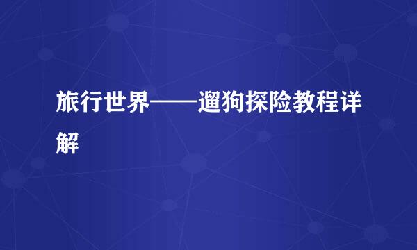 旅行世界——遛狗探险教程详解