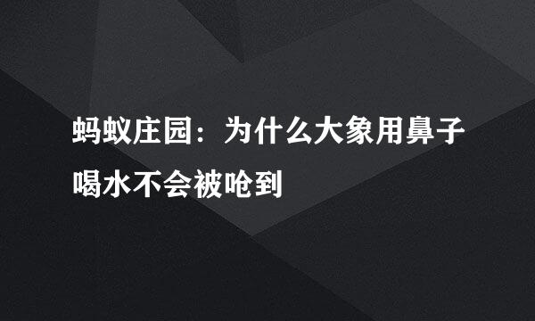 蚂蚁庄园：为什么大象用鼻子喝水不会被呛到