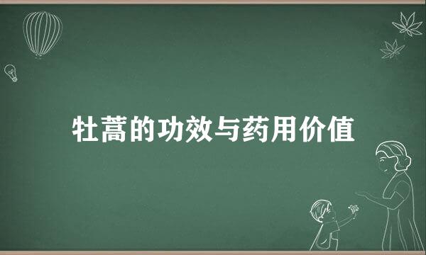 牡蒿的功效与药用价值