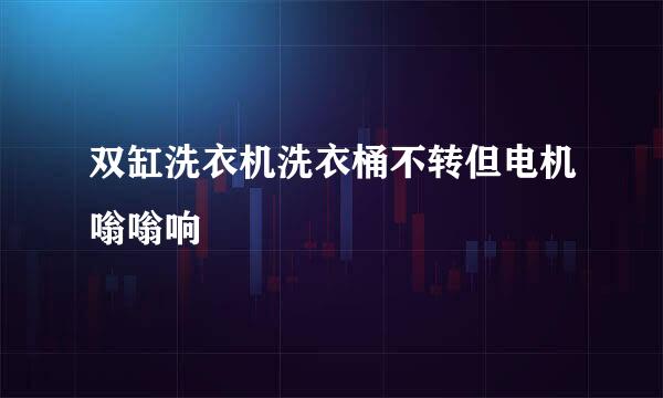 双缸洗衣机洗衣桶不转但电机嗡嗡响