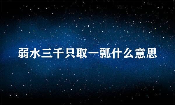 弱水三千只取一瓢什么意思