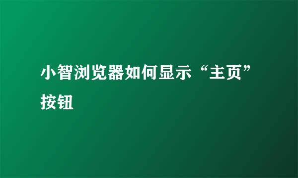 小智浏览器如何显示“主页”按钮