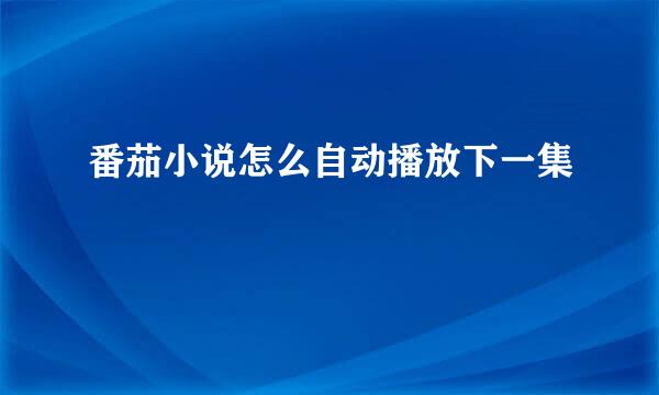 番茄小说怎么自动播放下一集