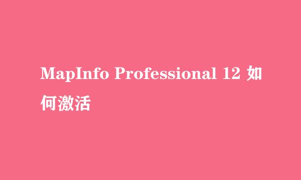 MapInfo Professional 12 如何激活