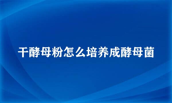 干酵母粉怎么培养成酵母菌