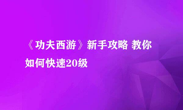 《功夫西游》新手攻略 教你如何快速20级