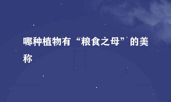 哪种植物有“粮食之母”的美称