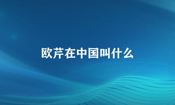 欧芹在中国叫什么
