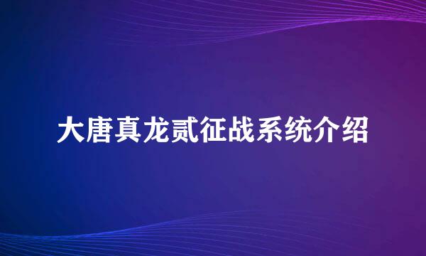 大唐真龙贰征战系统介绍