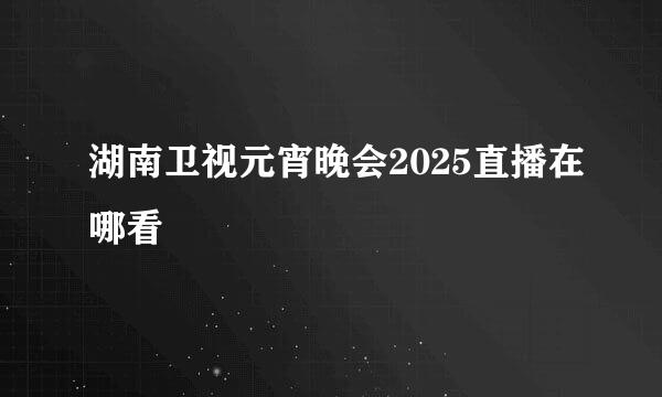 湖南卫视元宵晚会2025直播在哪看