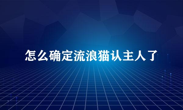 怎么确定流浪猫认主人了