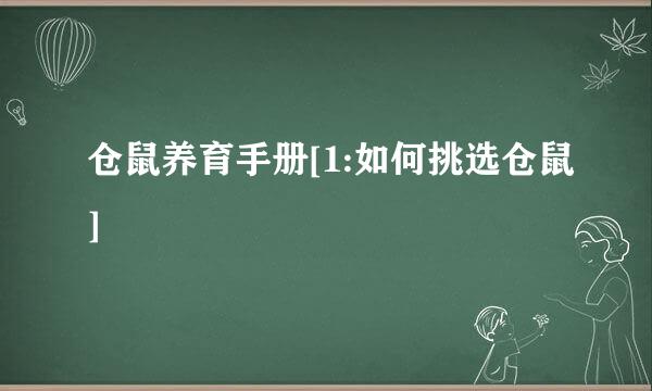 仓鼠养育手册[1:如何挑选仓鼠]