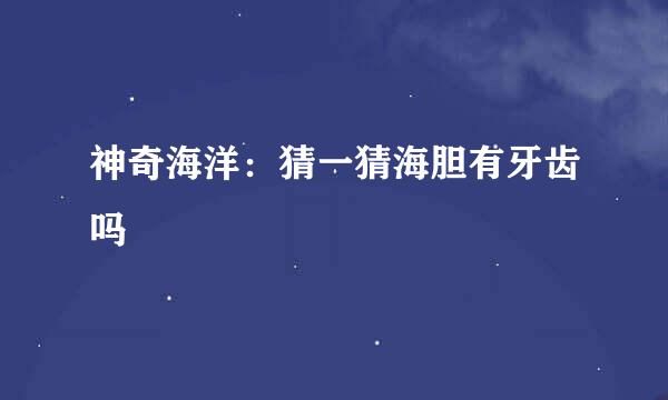 神奇海洋：猜一猜海胆有牙齿吗