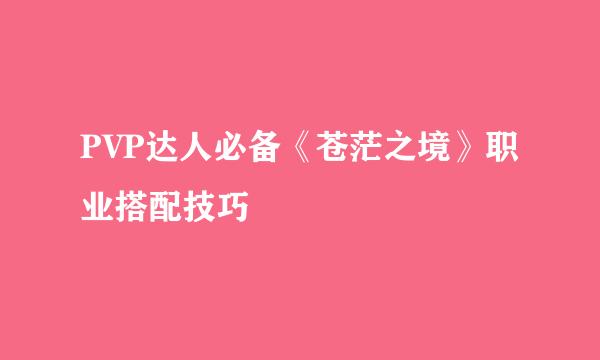 PVP达人必备《苍茫之境》职业搭配技巧