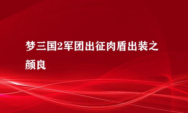 梦三国2军团出征肉盾出装之颜良