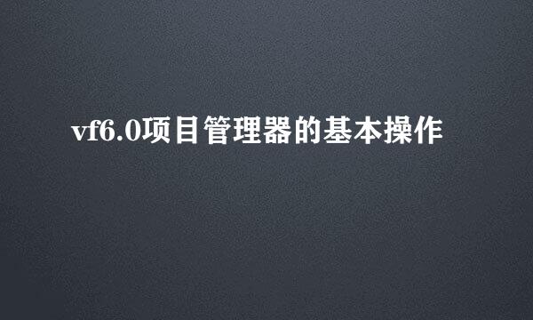 vf6.0项目管理器的基本操作