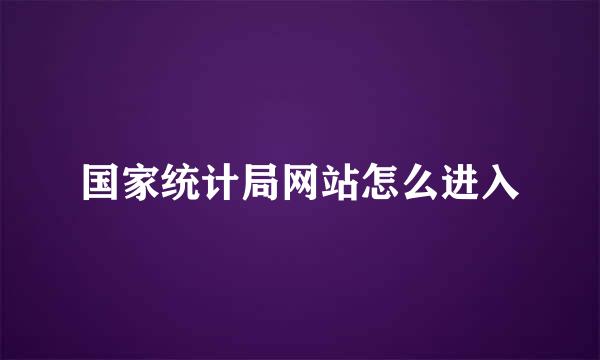 国家统计局网站怎么进入