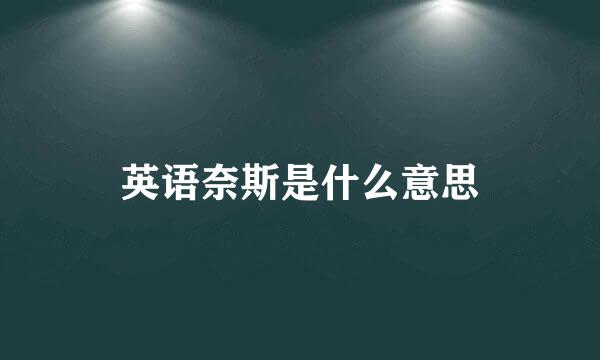 英语奈斯是什么意思