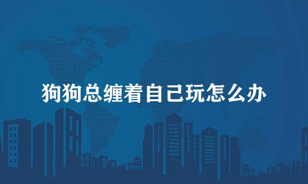 狗狗总缠着自己玩怎么办