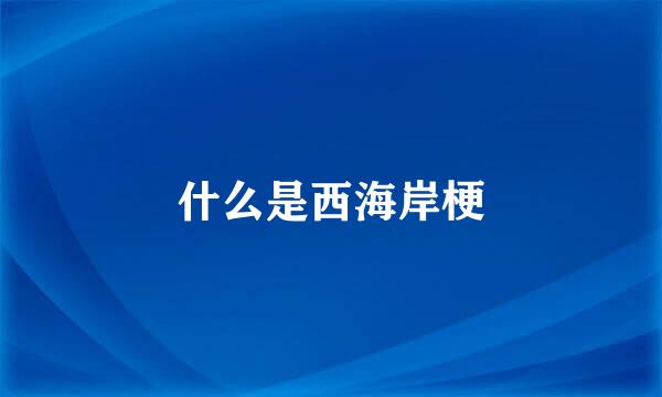什么是西海岸梗