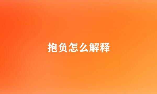 抱负怎么解释