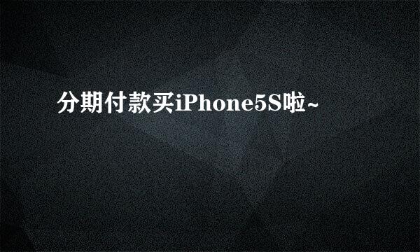 分期付款买iPhone5S啦~