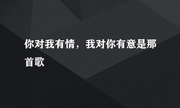 你对我有情，我对你有意是那首歌