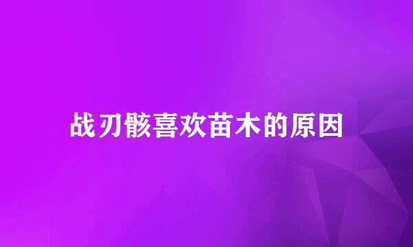 战刃骸喜欢苗木的原因