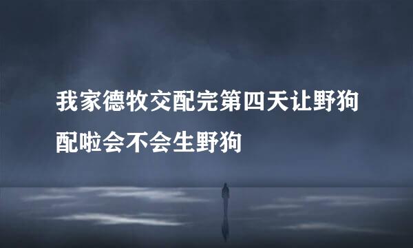 我家德牧交配完第四天让野狗配啦会不会生野狗