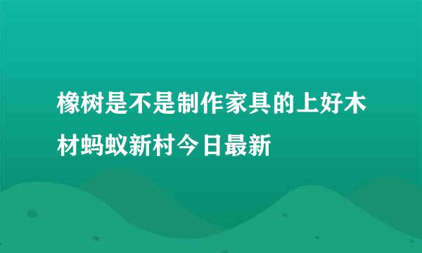 橡树是不是制作家具的上好木材蚂蚁新村今日最新