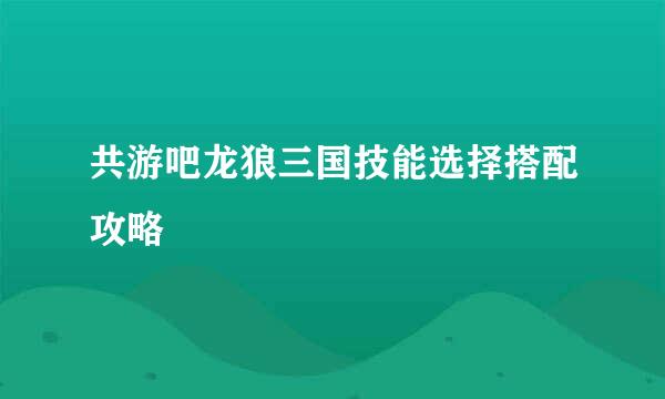 共游吧龙狼三国技能选择搭配攻略
