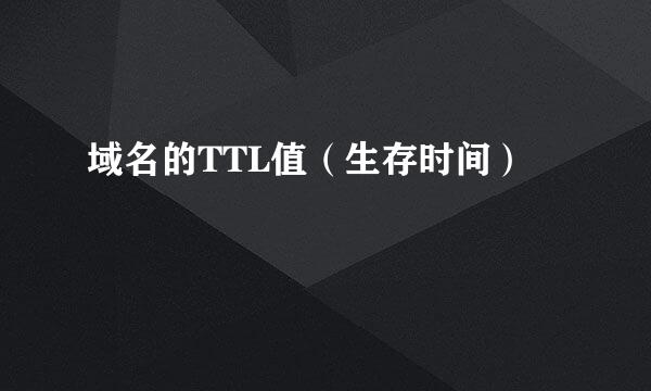 域名的TTL值（生存时间）