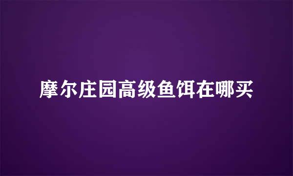 摩尔庄园高级鱼饵在哪买