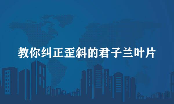 教你纠正歪斜的君子兰叶片