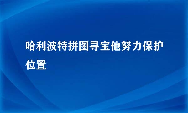 哈利波特拼图寻宝他努力保护位置