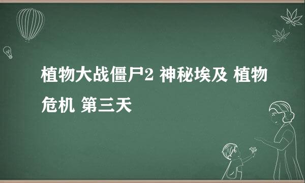 植物大战僵尸2 神秘埃及 植物危机 第三天