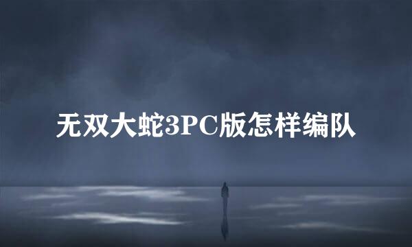 无双大蛇3PC版怎样编队