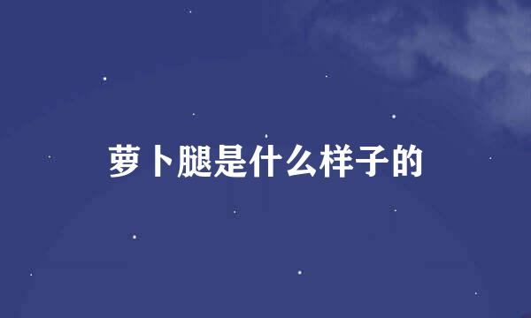 萝卜腿是什么样子的