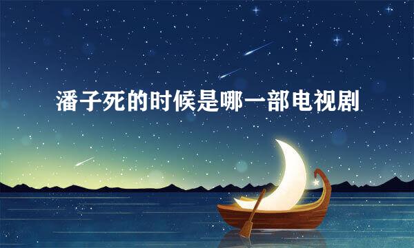 潘子死的时候是哪一部电视剧