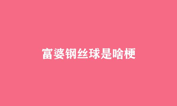 富婆钢丝球是啥梗