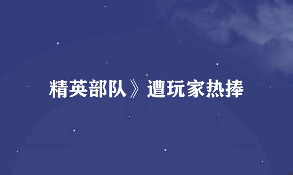 精英部队》遭玩家热捧