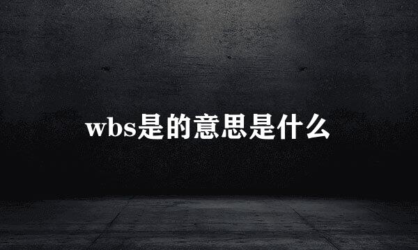 wbs是的意思是什么